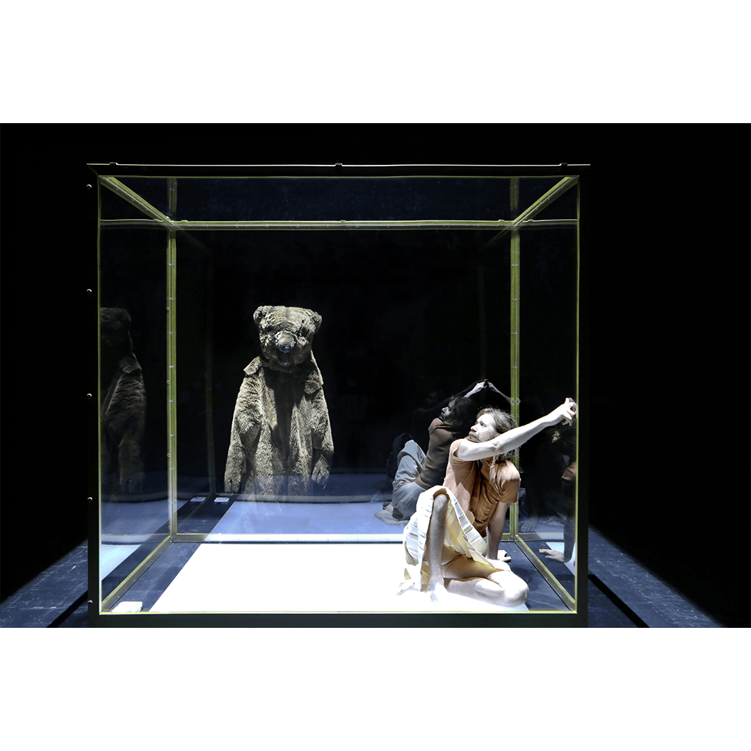 <figcaption></figcaption>